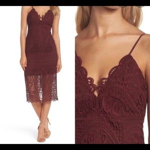 Bardot Versailles Burgundy Wine Lace Dress